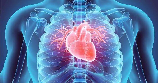 kalp ve damar hastaliklari neler h1576609889 58f1bb 1